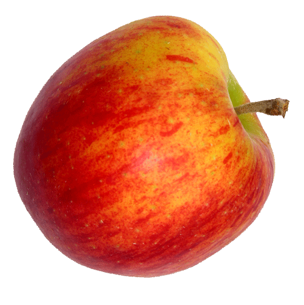 Pommes Gala 1Kg