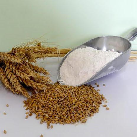 Farine de petit épeautre