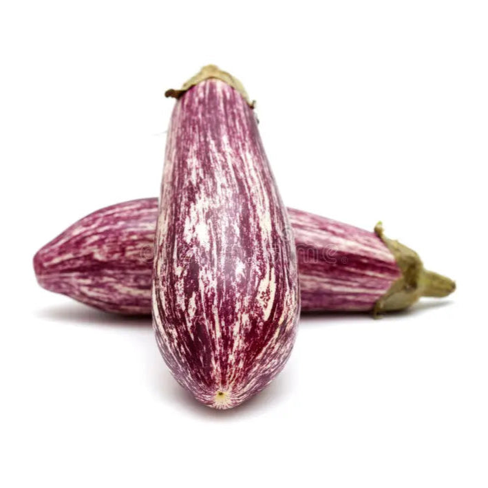 Aubergine rayée