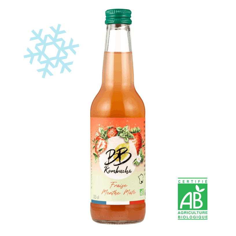 Kombucha Fraise Menthe Maté