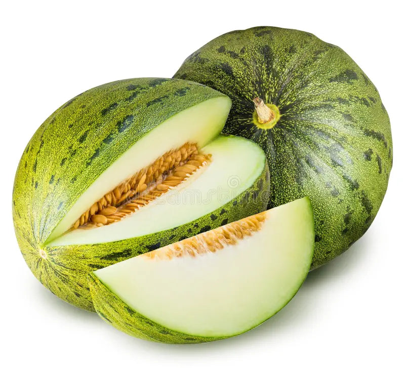 Melon vert