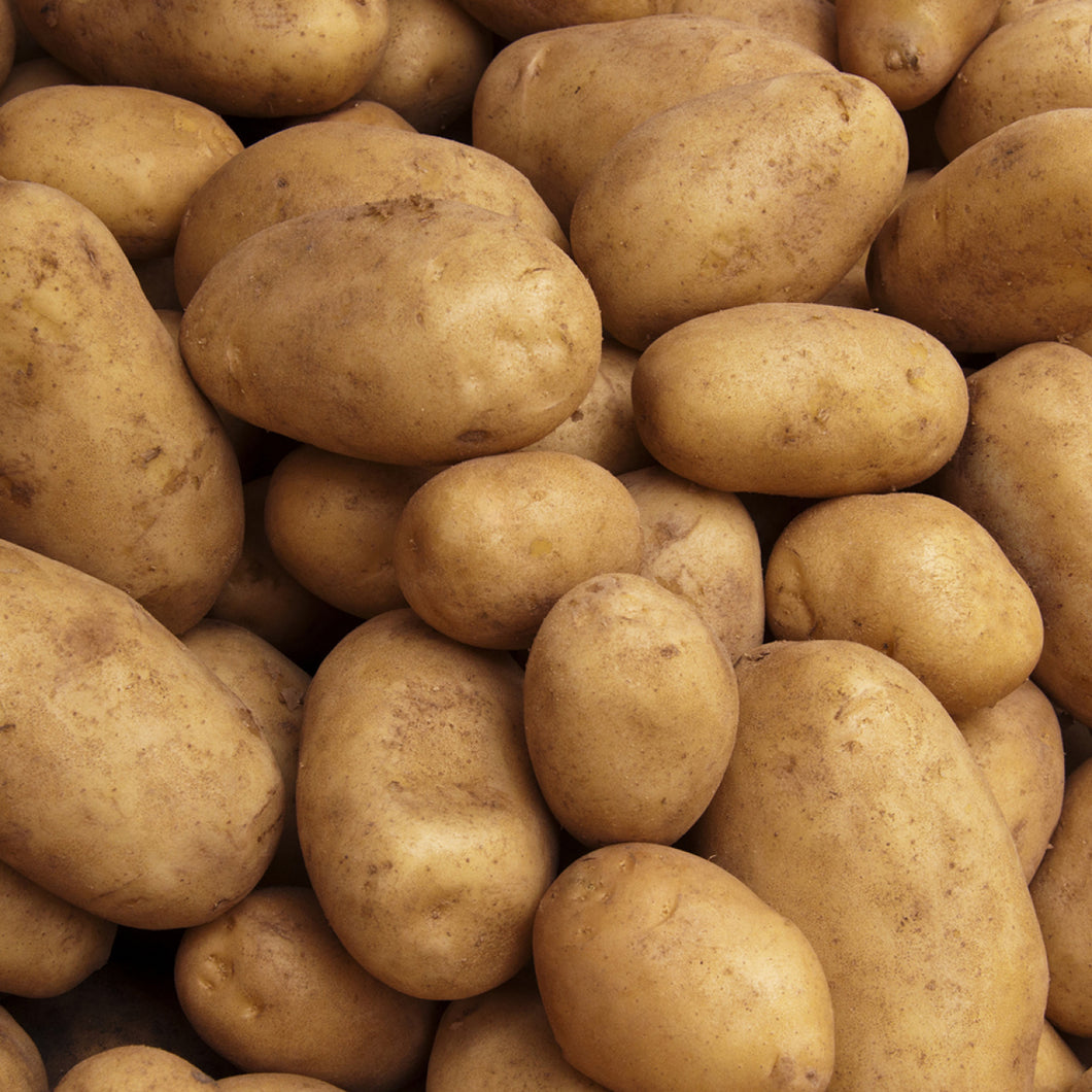 Pomme de terre Spunta 1Kg